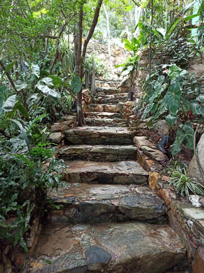 Casa Da Mata Descanso E Sossego Na Natureza Ibicoara Bagian luar foto